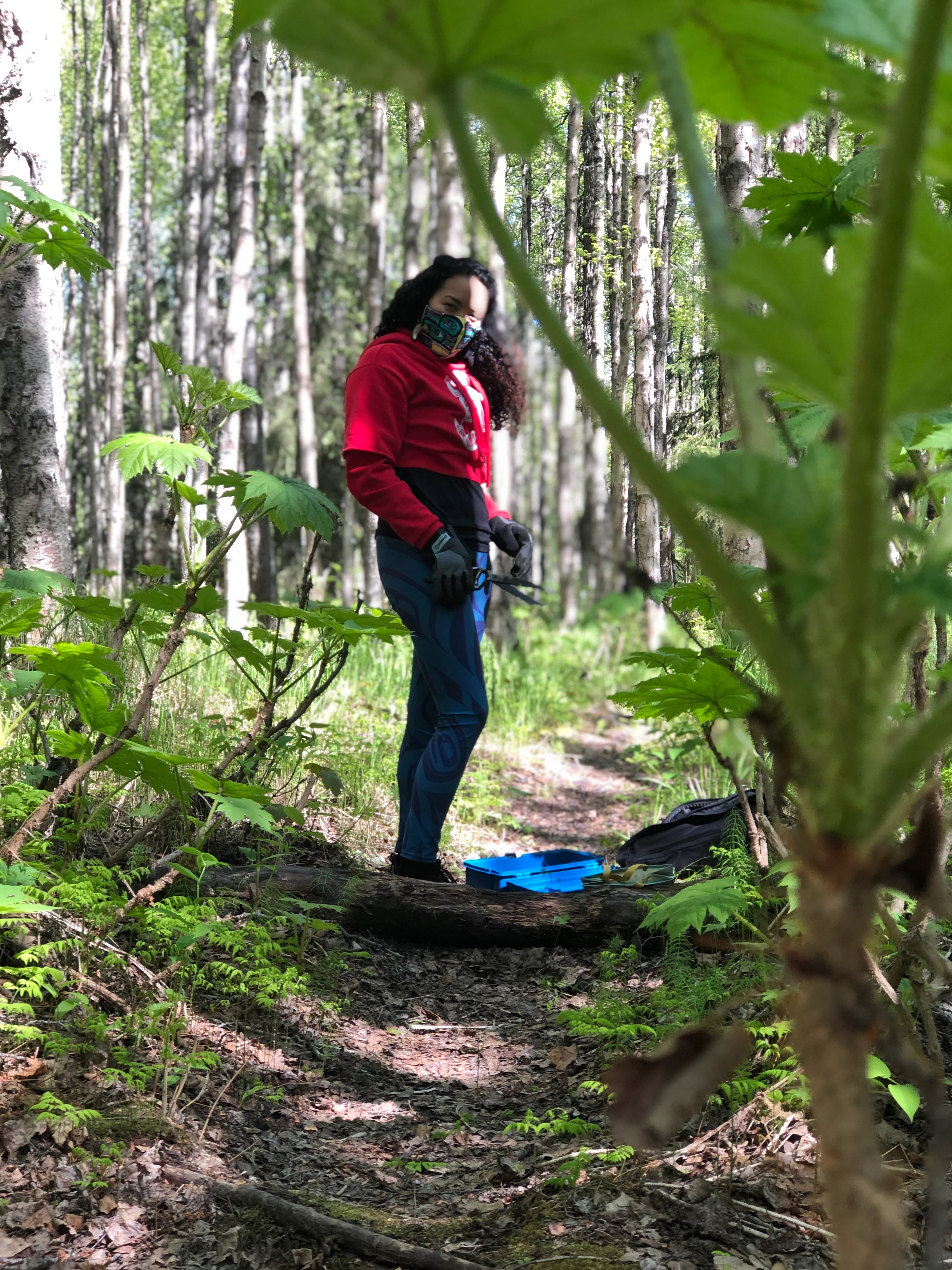 S’áxt’ (Devil's Club) Earrings with Argentium® Silver Ear Wire - Image 7