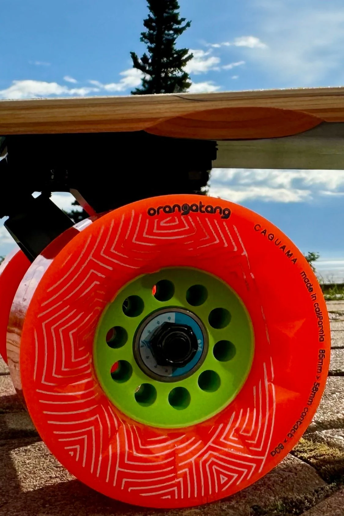 G̱ooch een.aax’w (Wolf Family) 40" Longboard CRUISER BUILD - Image 5